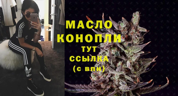 тгк Снежногорск