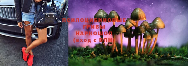 мяу мяу мука Балахна